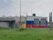 Тепличный комплекс "Калининский", Краснодарский край, ст-ца Калининская